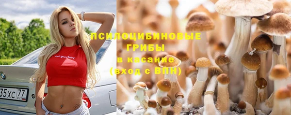 альфа пвп Куйбышев
