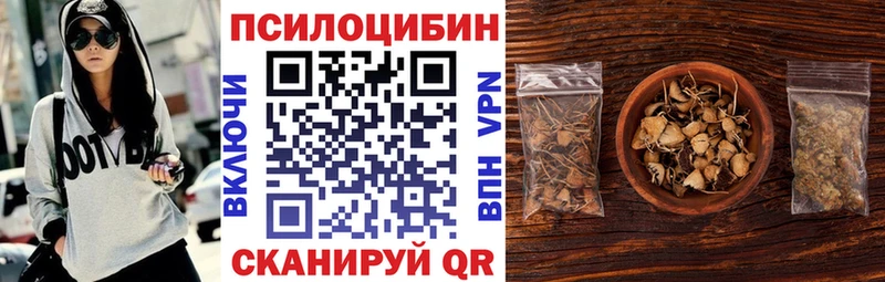 Купить где  Белебей  Псилоцибиновые грибы Cubensis 