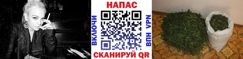 Купить  Белебей  Бошки марихуана Amnesia 